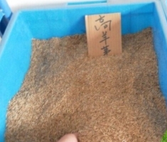 使用煙臺海藻酸鈉的應用都有哪些范圍？